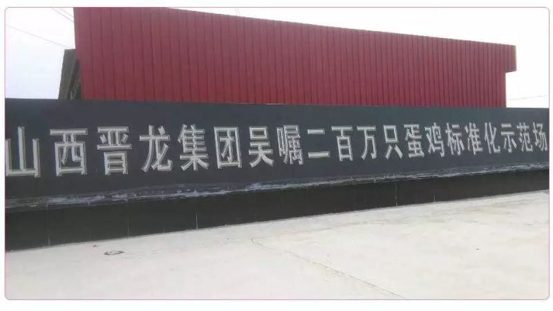 801313518317676337.jpg 未標(biāo)題-1.png