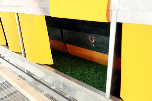 產(chǎn)蛋箱 (2).jpg