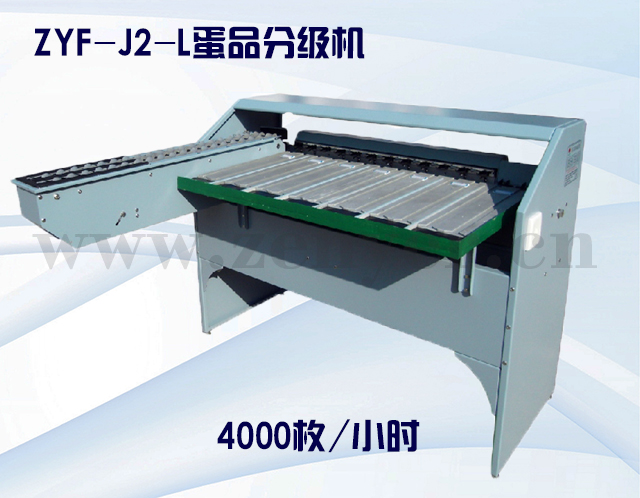 ZYF-J2-L蛋品分級機碳鋼.jpg