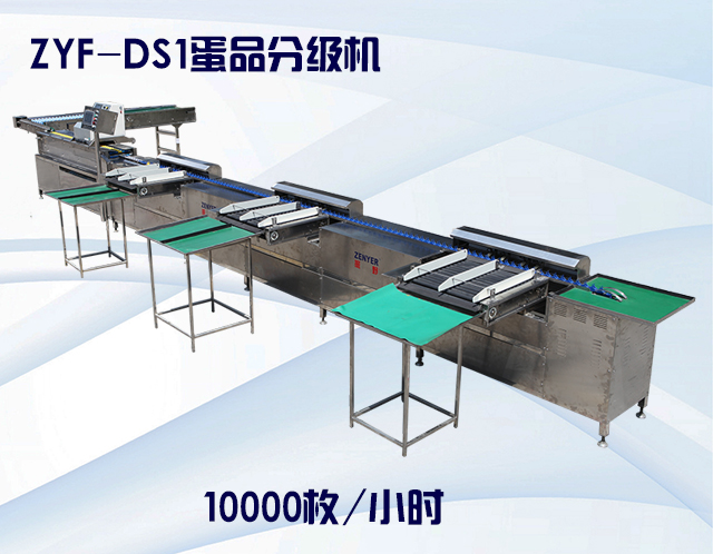 ZYF-DS1蛋品分級機.jpg
