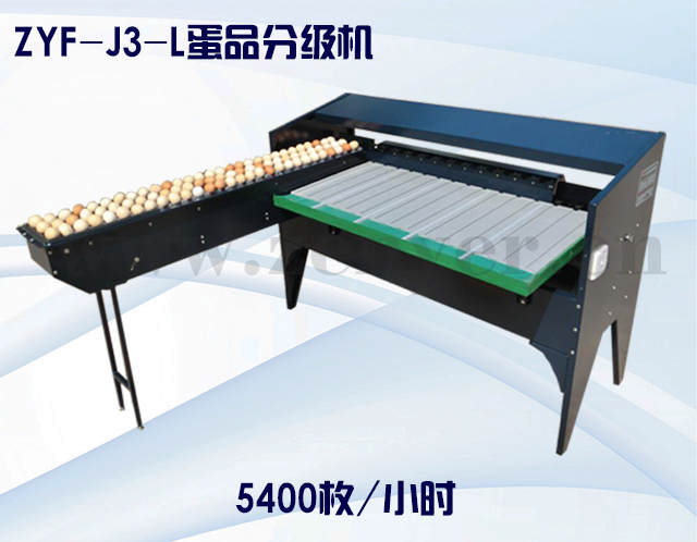 ZYF-J3-L蛋品分級機--碳鋼.jpg