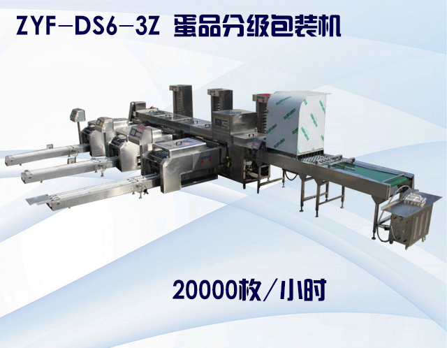 ZYF-DS6-3Z 蛋品分級包裝機.jpg