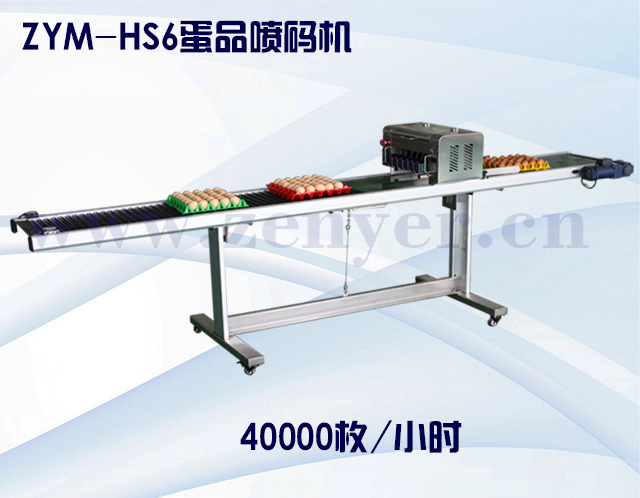 ZYM-HS6蛋品噴碼機.jpg