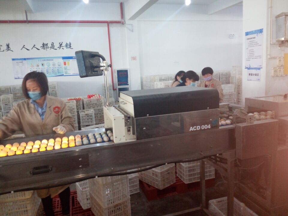 QQ圖片20170407171542.jpg QQ圖片20170407171542.jpg