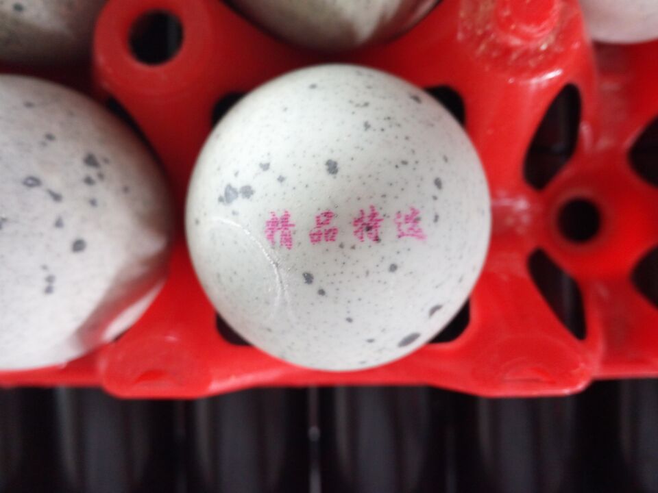 QQ圖片20170607145000.jpg QQ圖片20170607145000.jpg