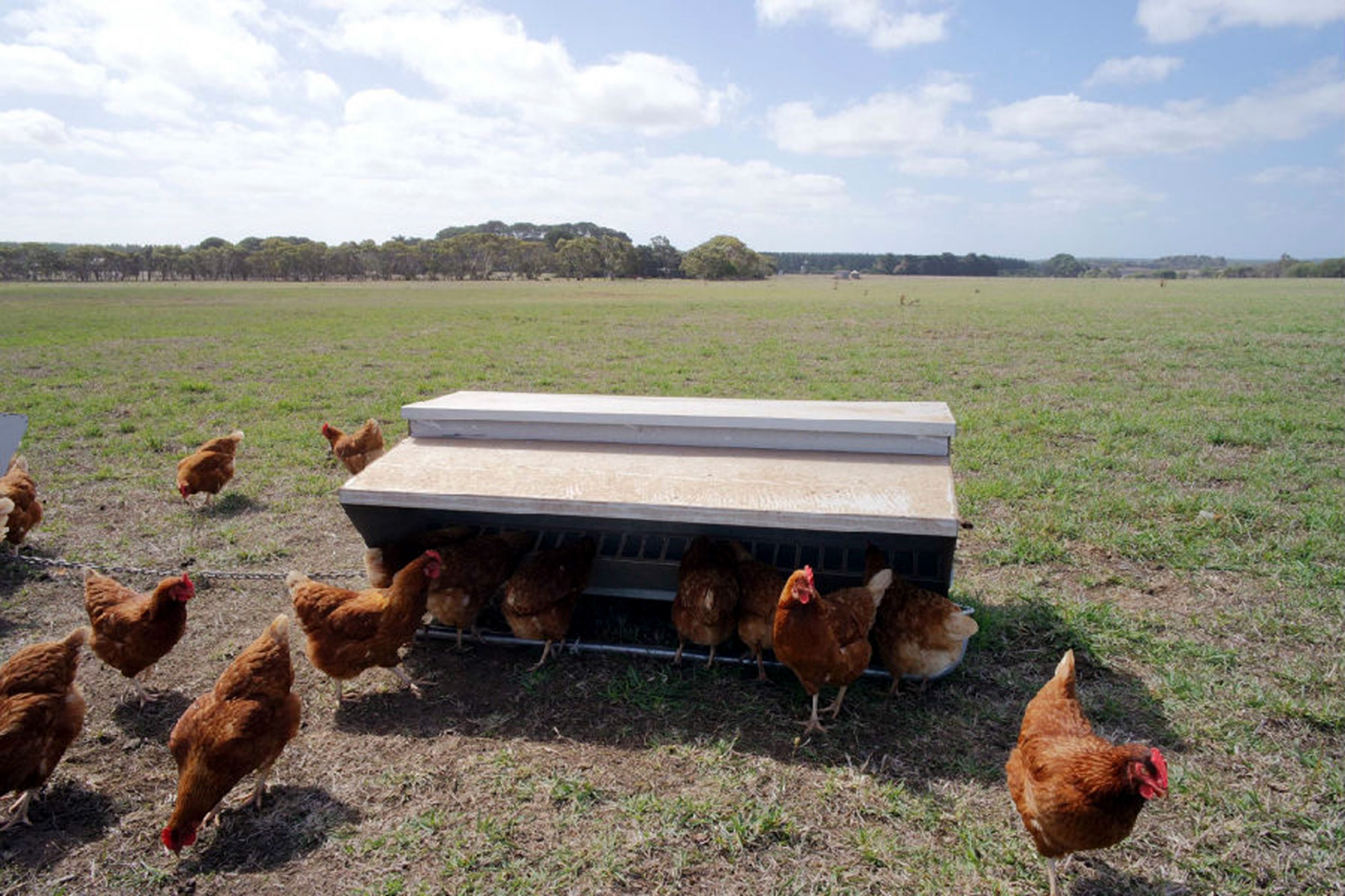 集成系統(tǒng)易拉寶-7.jpg 集成系統(tǒng)易拉寶-7.jpg