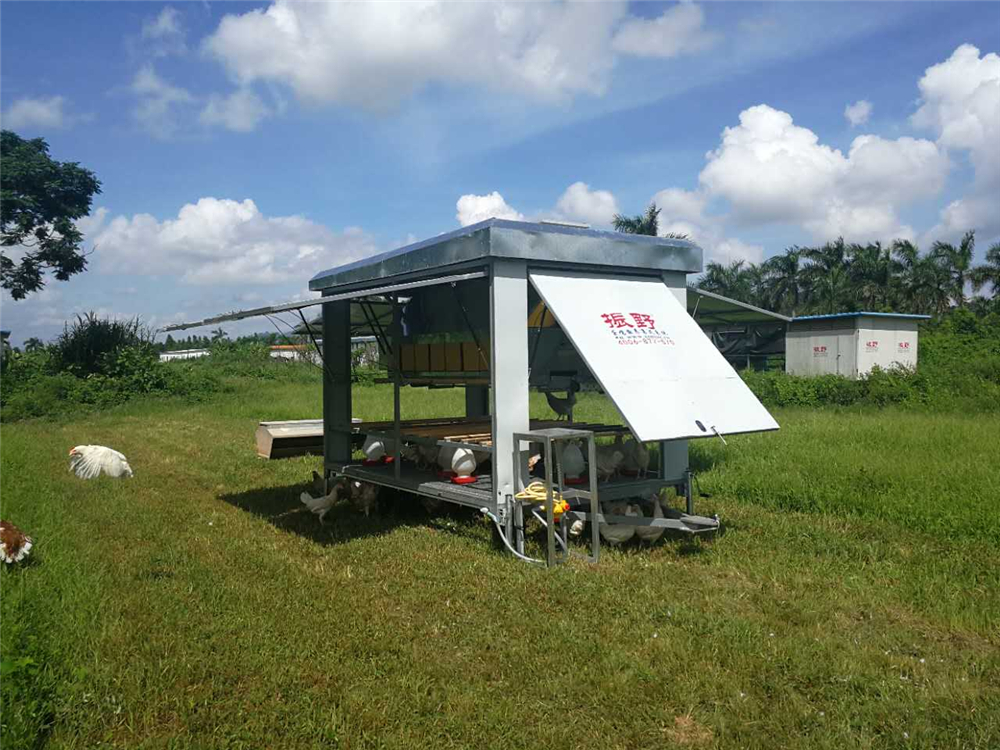 IMG_0375 (2).jpg IMG_0375 (2).jpg