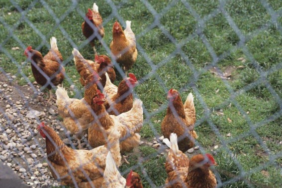 圖片2.png 圖片2.png