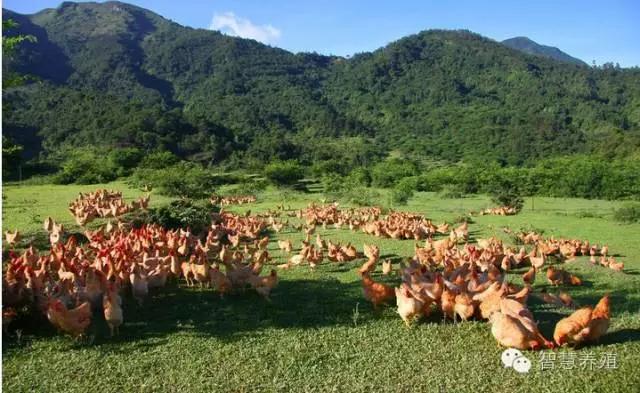 微信圖片_20170915111231.jpg 微信圖片_20170915111231.jpg