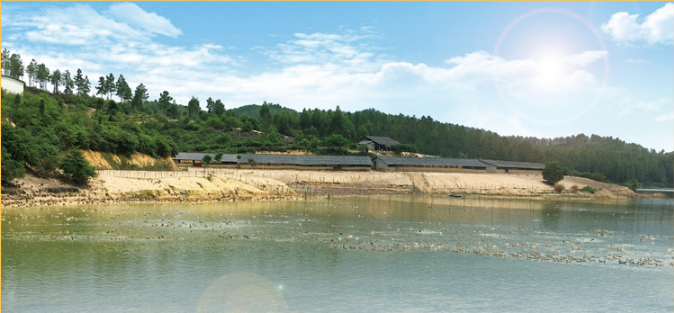 環(huán)境1.png 環(huán)境1.png