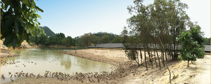 環(huán)境2.png 環(huán)境2.png