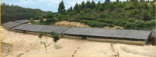 環(huán)境3.png 環(huán)境3.png