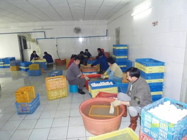 640.webp.jpg 640.webp.jpg