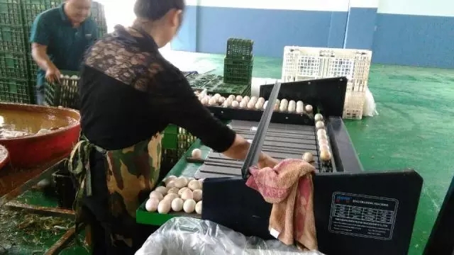 640.webp (1).jpg 640.webp (1).jpg