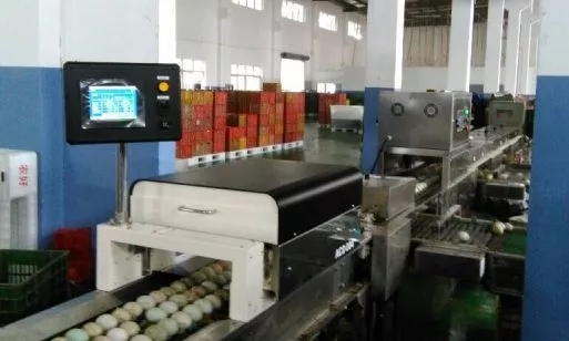 640.webp (9).jpg 640.webp (9).jpg