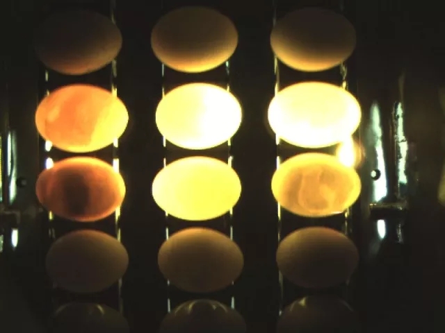 640.webp (1).jpg 640.webp (1).jpg