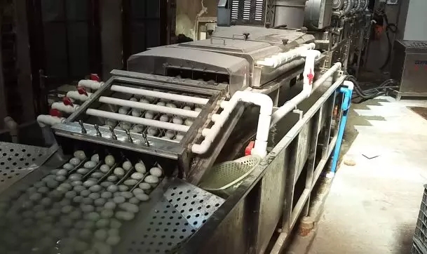 640.webp (5).jpg 640.webp (5).jpg