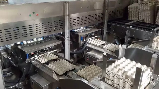 640.webp (8).jpg 640.webp (8).jpg