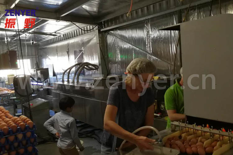 吸盤上蛋-3.jpg 吸盤上蛋-3.jpg