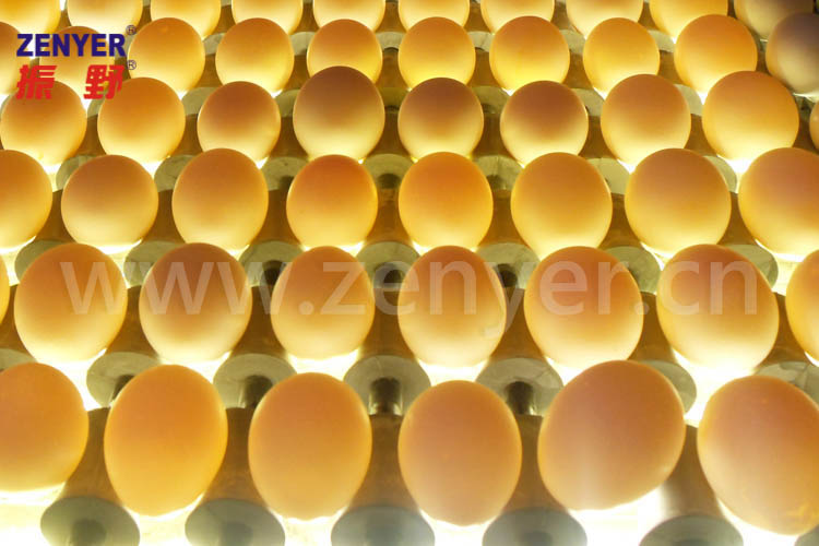 7.光檢.jpg 7.光檢.jpg