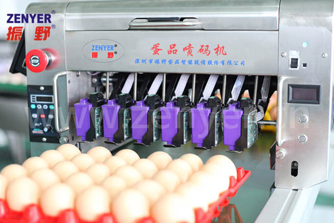 六頭整托噴3.jpg 六頭整托噴3.jpg