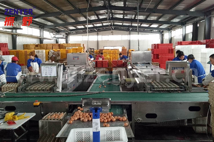 分級-2.jpg 分級-2.jpg