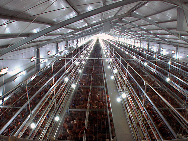 1511921904818001.jpg 1511921904818001.jpg