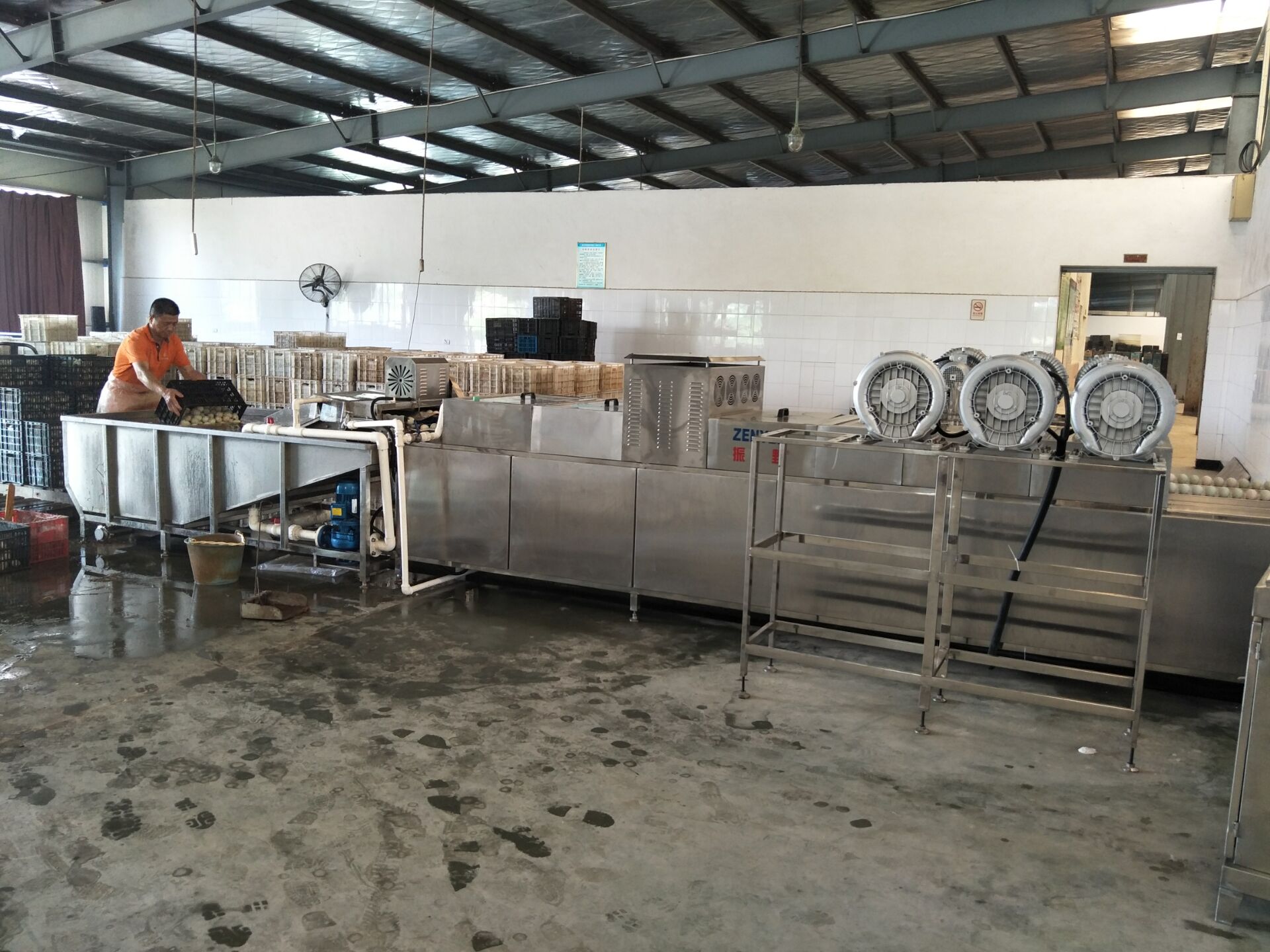 上蛋.jpg 上蛋.jpg