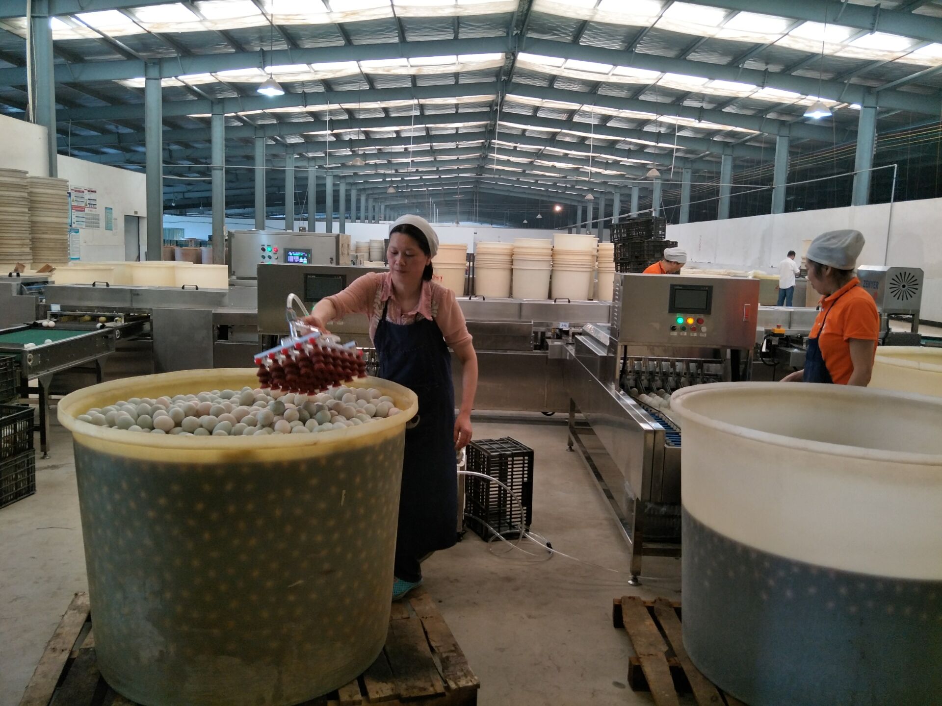 下缸2.jpg 下缸2.jpg