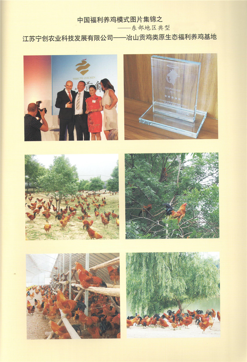 江蘇農(nóng)創(chuàng).jpg 江蘇農(nóng)創(chuàng).jpg