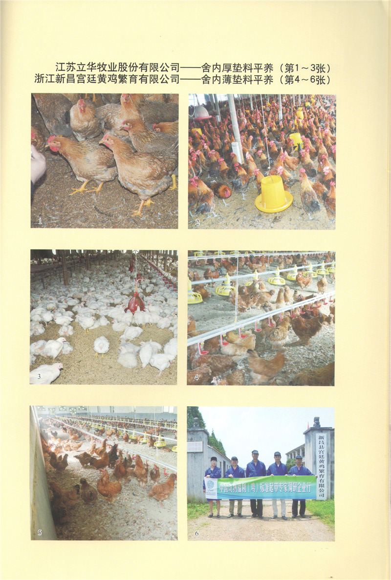 舍內(nèi)厚墊料平養(yǎng).jpg 舍內(nèi)厚墊料平養(yǎng).jpg