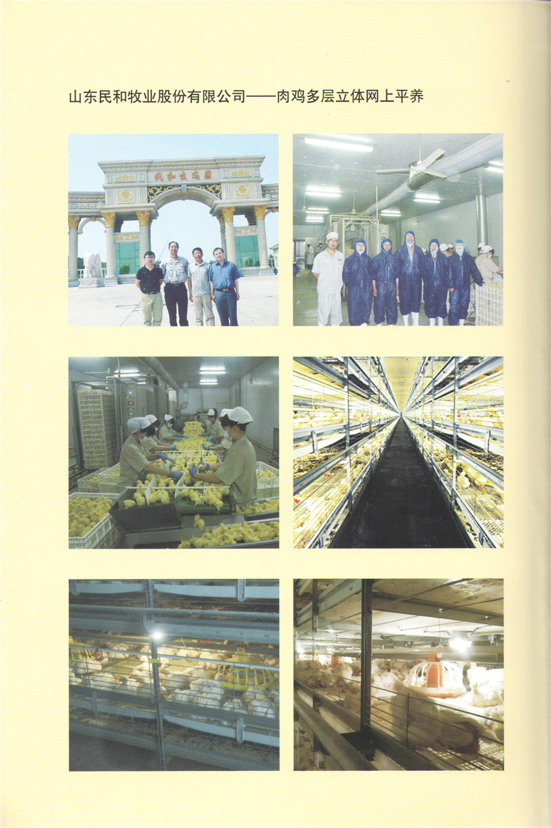 山東民和牧業(yè)--肉雞多層立體網(wǎng)上平養(yǎng).jpg 山東民和牧業(yè)--肉雞多層立體網(wǎng)上平養(yǎng).jpg