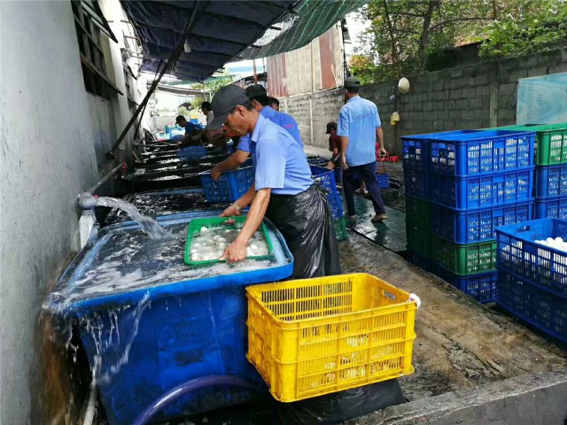 IMG_6269.jpg IMG_6269.jpg