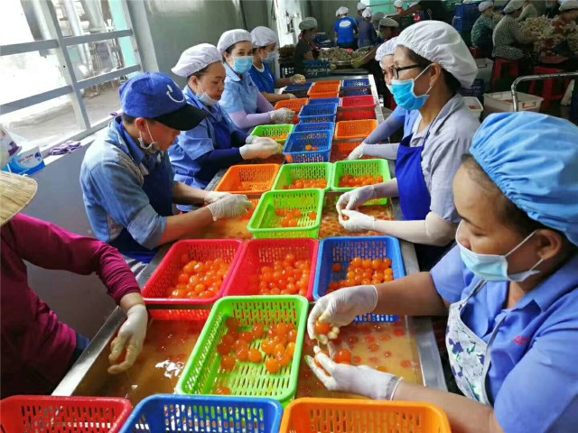 IMG_6268.jpg IMG_6268.jpg