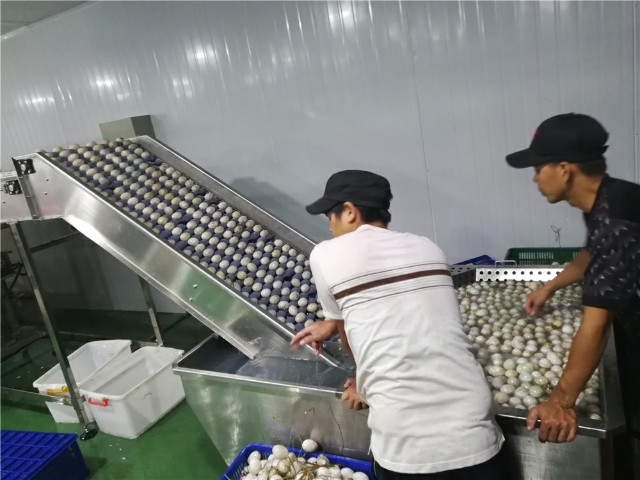 QQ圖片20180804165851.jpg QQ圖片20180804165851.jpg