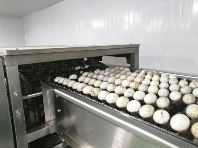 QQ圖片20180804165855.jpg QQ圖片20180804165855.jpg