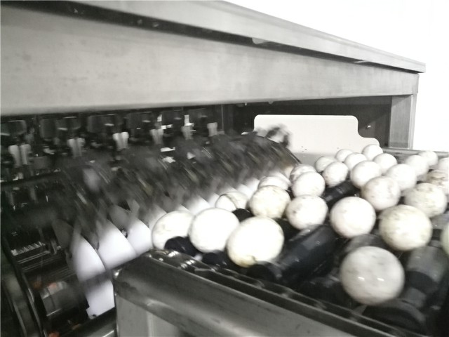 QQ圖片20180804165859.jpg QQ圖片20180804165859.jpg