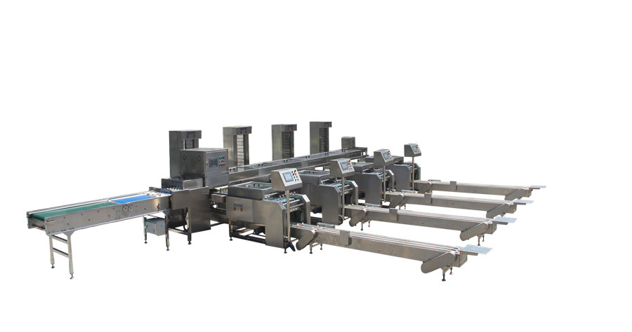 深圳市振野蛋品智能設(shè)備股份有限公司