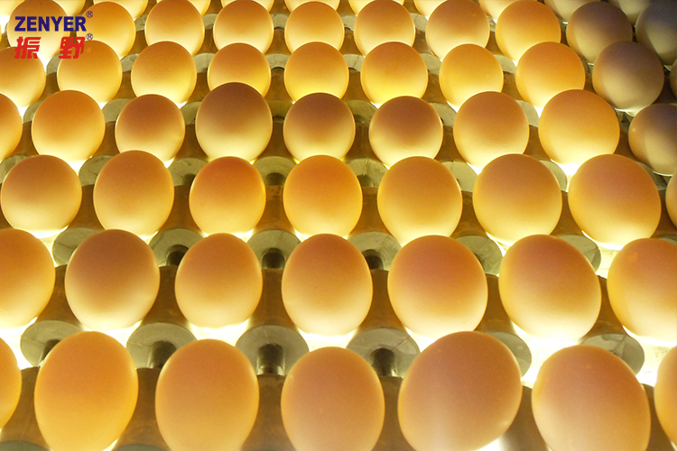 光檢.jpg 光檢.jpg