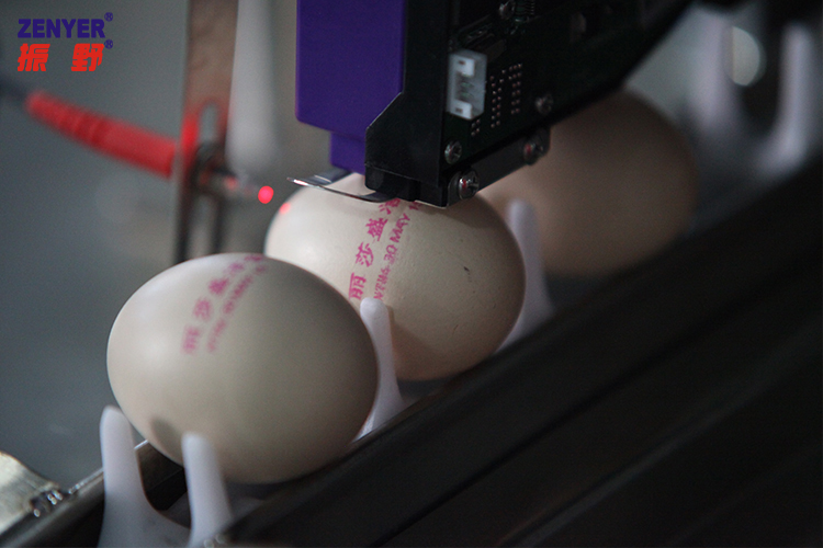 噴碼.jpg 噴碼.jpg