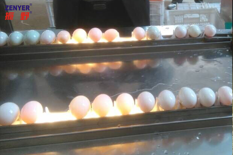 光檢.jpg 光檢.jpg