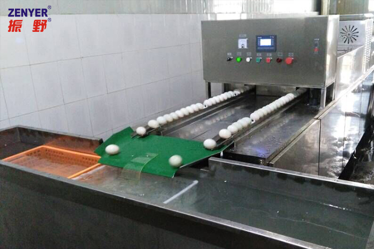 水箱收蛋.jpg 水箱收蛋.jpg