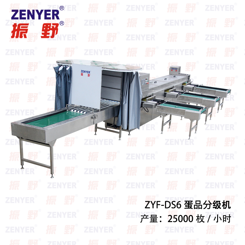 ZYF-DS6蛋品分級(jí)機(jī).jpg ZYF-DS6蛋品分級(jí)機(jī).jpg