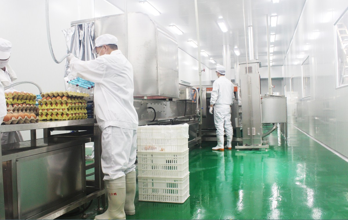 636667265652830065.jpg 636667265652830065.jpg