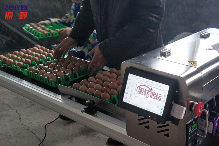 圖片11.jpg 圖片11.jpg