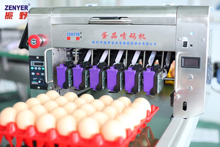 圖片12.jpg 圖片12.jpg