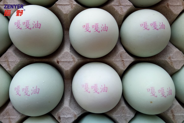 圖片15.jpg 圖片15.jpg