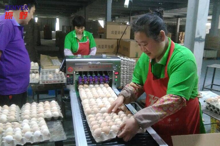 圖片19.jpg 圖片19.jpg