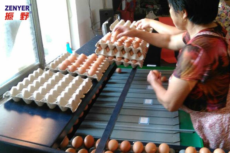 圖片4.jpg 圖片4.jpg