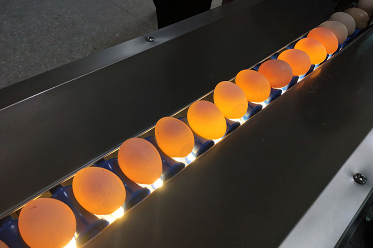 圖片2.jpg 圖片2.jpg